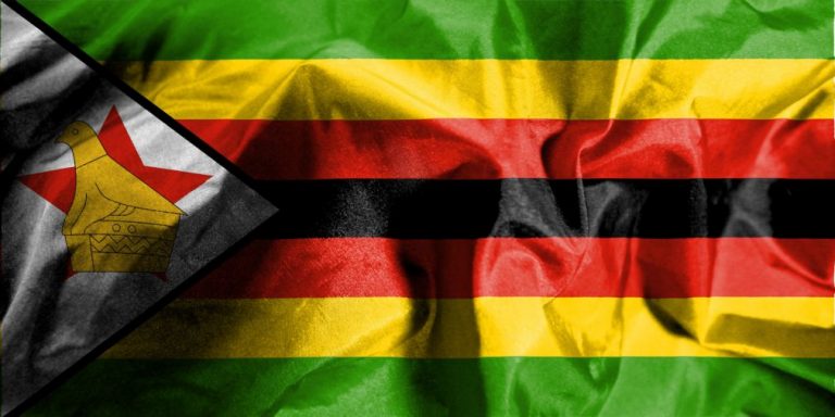 Forças de segurança colocadas junto a fronteira com Moçambique - vice-PR do Zimbabué