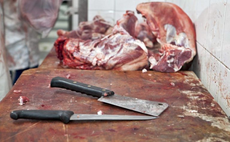 Portugueses consomem 4,4 vezes mais carne, ovos e peixe do que precisam - Zero