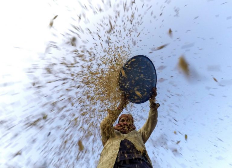 Governo chinês doa dez mil toneladas de arroz a Moçambique