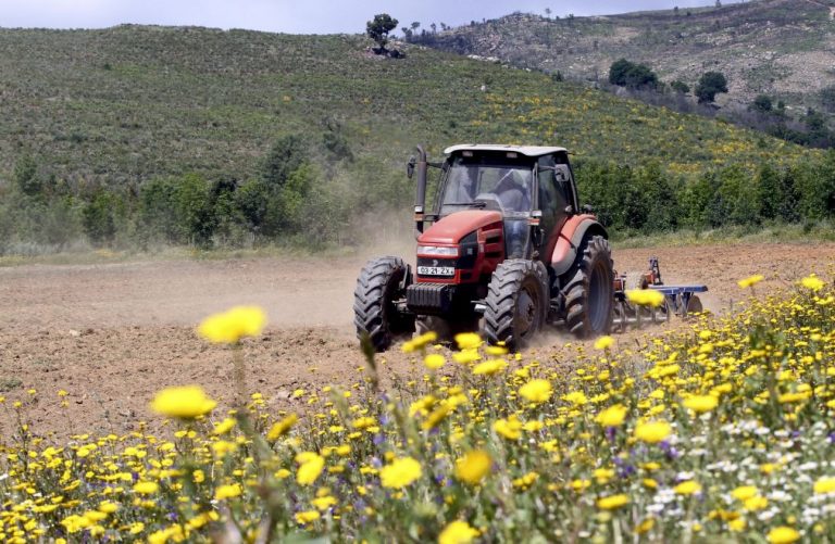 Angola melhora balança comercial mas ainda gasta 450MEuro em alimentos e agricultura