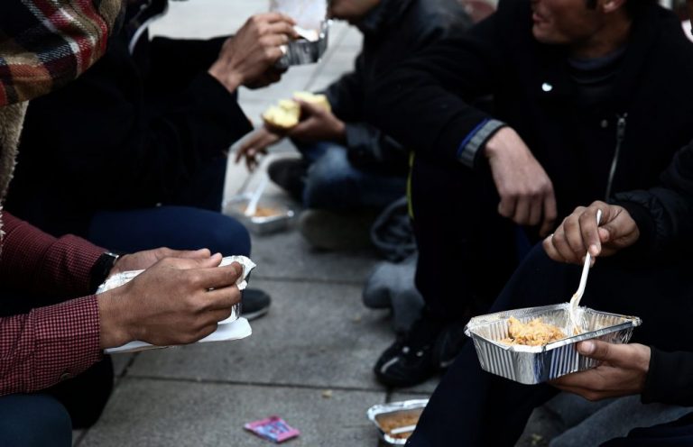 Fome Zero influenciou várias agências da ONU e países no combate à fome - FAO