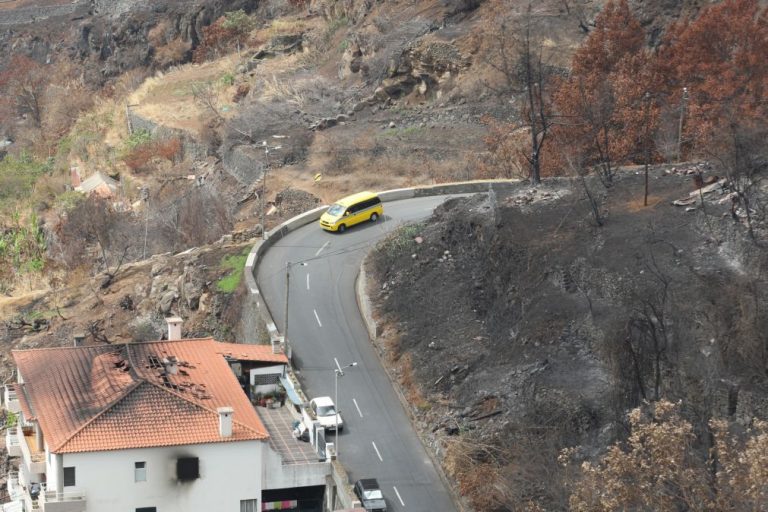 Incêndios: 60 fogos atingidos na Madeira estão totalmente recuperados - Governo Regional