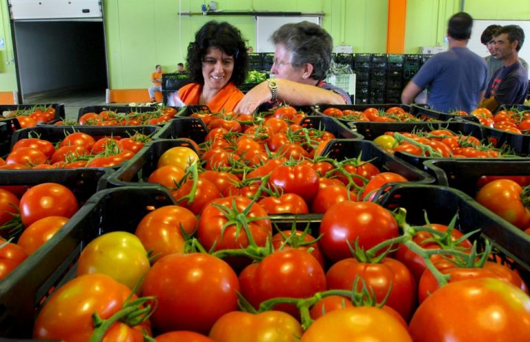 Governo estima que balança agroalimentar tenha melhorado 700 ME em 2016