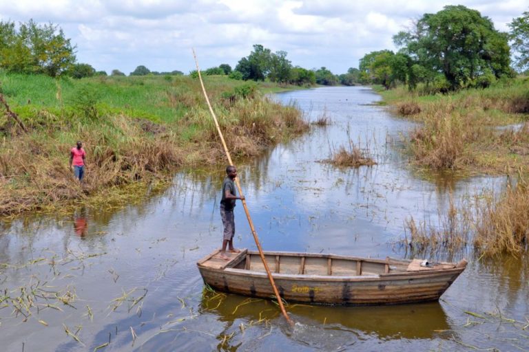 Programa Alimentar Mundial vai auxiliar 50 mil vítimas do ciclone em Moçambique