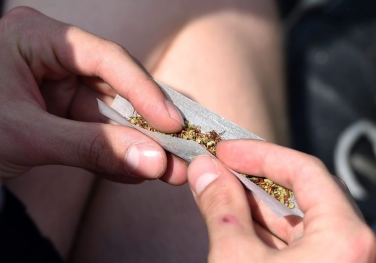 Mais de 10.300 processos por consumo de drogas em 2015, valor mais alto desde 2001