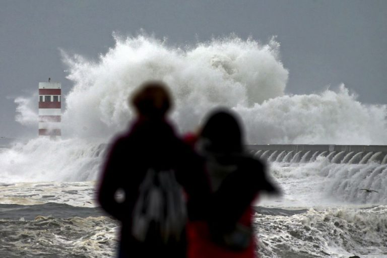 Mau tempo: Mar invadiu porto de pesca da Figueira da Foz