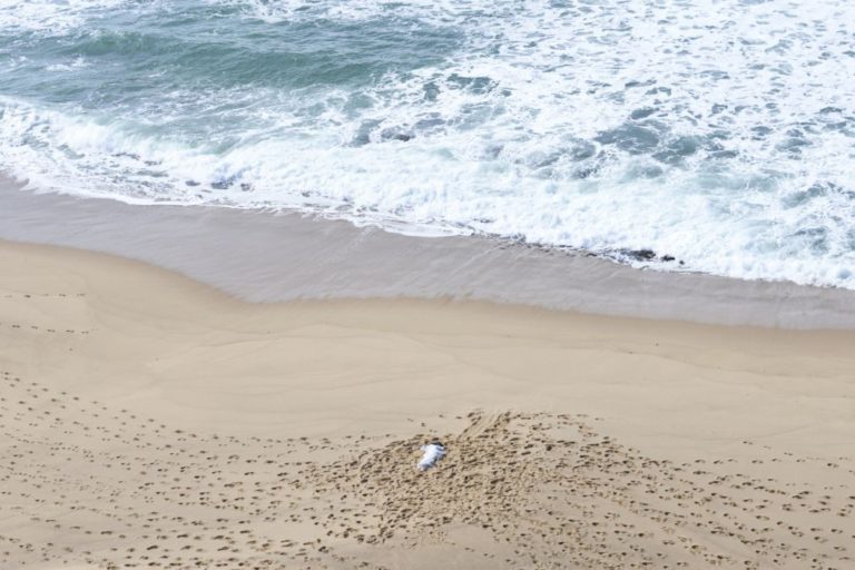 Um homem e uma mulher encontrados mortos em praia de Torres Vedras