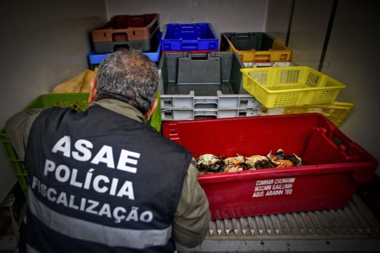 ASAE apreende marfim e identifica quatro pessoas por venda ilegal na internet