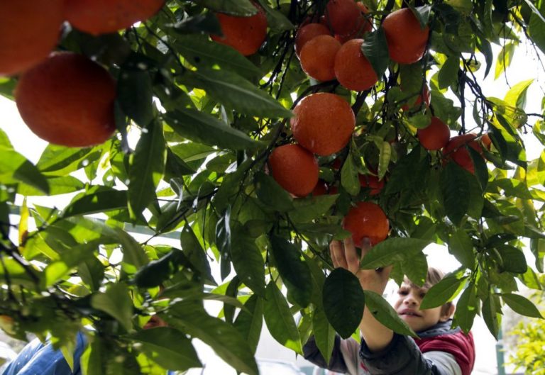Estudo revela que metade das crianças da região do Porto tem falta de vitamina D