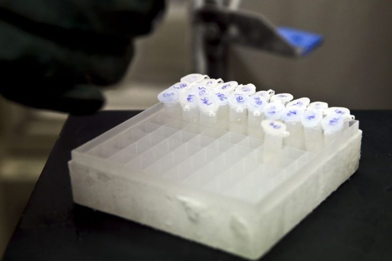 DGS confirma quinto caso de doente infetado com legionella na Maia