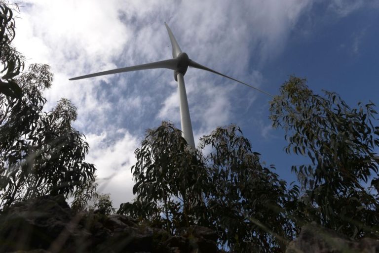Energias renováveis no mar podem criar mais valias de 250ME e mil empregos