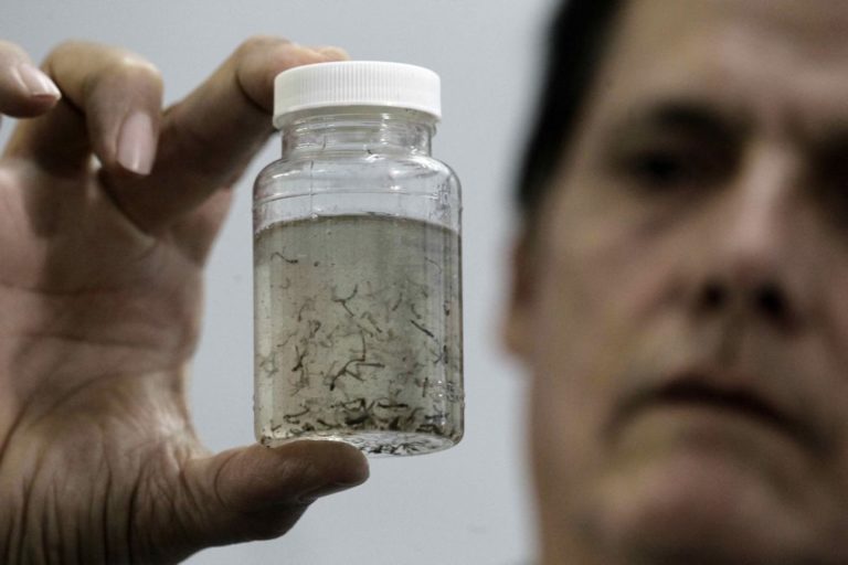 Brasil anuncia redução dos casos de Dengue, Chikungunya e Zika em 2017