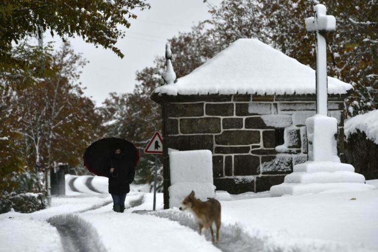 Neve obriga 120 alunos a ficarem em casa em Castro Daire e Resende