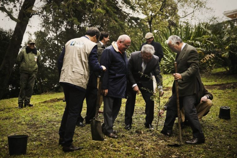 António Costa planta sobreiro em Sintra antes de Conselho de Ministros dedicado à floresta
