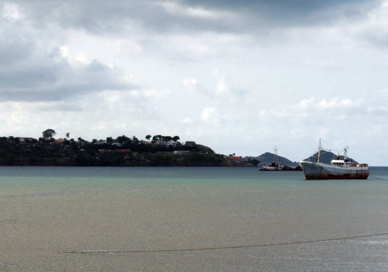 São Tomé acolhe lançamento do programa internacional de conservação de biodiversidade e florestas