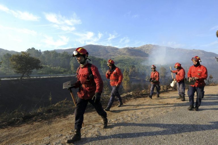 Dominado incêndio no parque Peneda Gerês