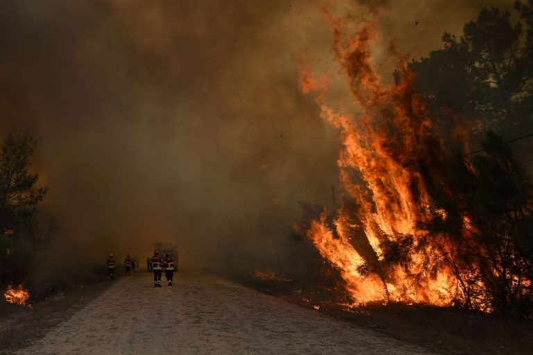Cem bombeiros combatem fogo em Ansião