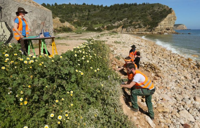 Cientistas estudam ocupação romana na Boca do Rio, Algarve
