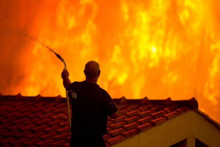 PJ deteve incendiário suspeito de atear fogos em Águeda