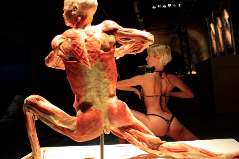 Enjoos, tonturas e desmaios. Exposição sobre o corpo humana cancelada