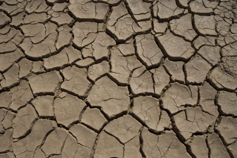 Seca prolongada afeta 1,42 milhões de pessoas em Angola e aumento de cólera preocupa