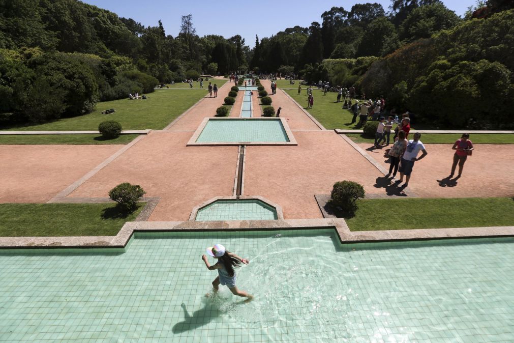 Governo confirma aumento de verbas à Casa da Música e a Serralves