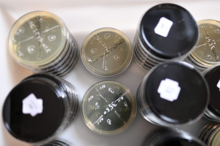 Descoberta presença de 'legionella' pela segunda vez em sete meses no Hospital da Horta