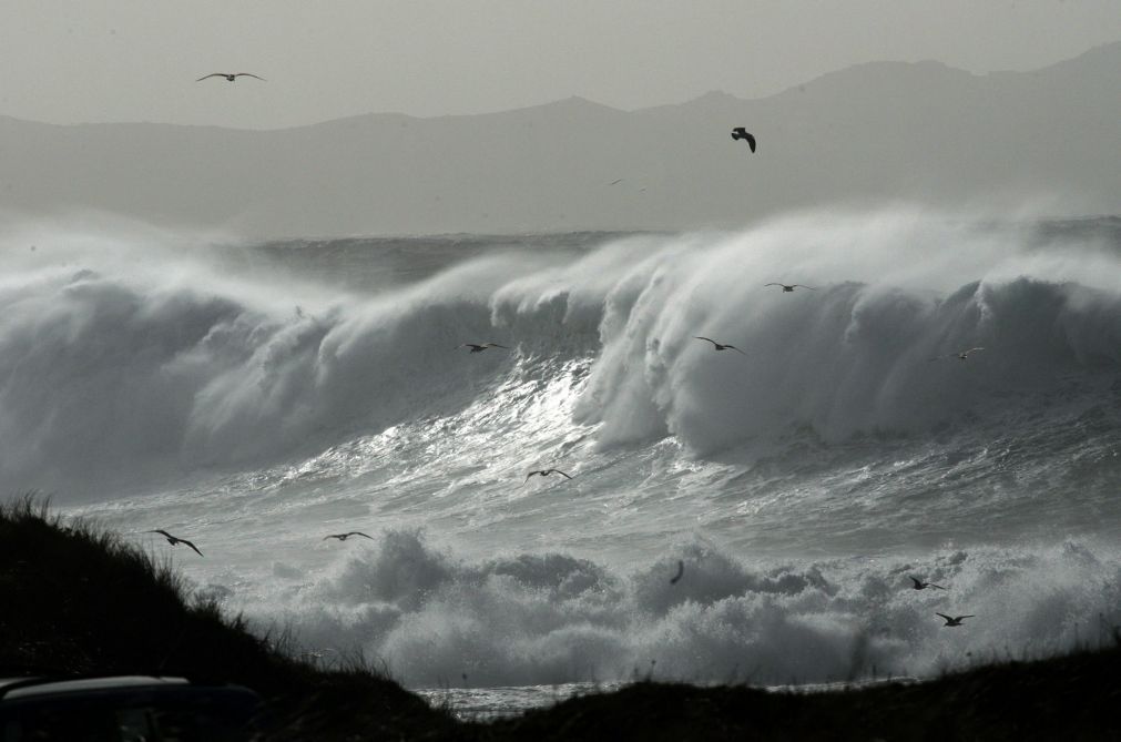 Proteção Civil dos Açores alerta para chuva e vento no arquipélago com aviso amarelo