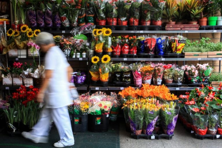 Atividade económica no início do ano explica revisão do crescimento do Brasil - ONU