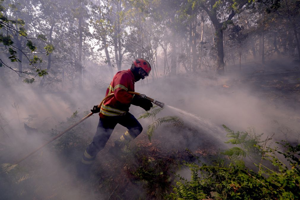 Incêndios: Área ardida este ano é dez vezes superior ao mesmo período de 2016