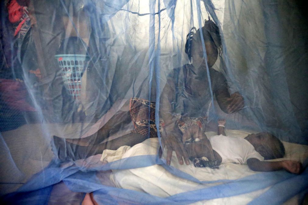 Estados Unidos disponibilizam 57 MEuro para combater malária e SIDA em Angola