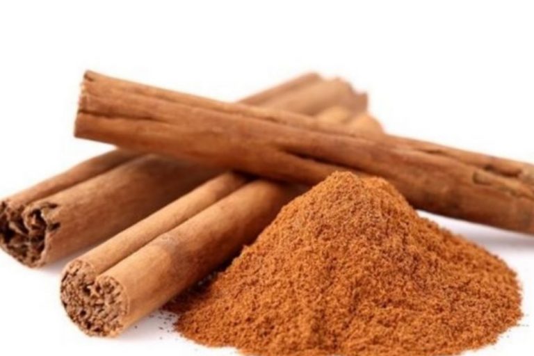 Canela pode diminuir danos de uma dieta rica em gordura