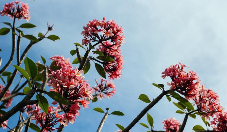 Cupidatat deserunt ad sustainable