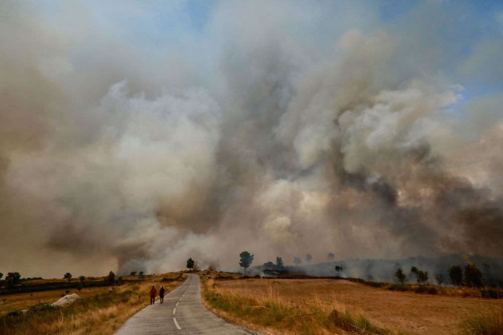Aviões suecos atuaram todo o dia na zona do Sabugal