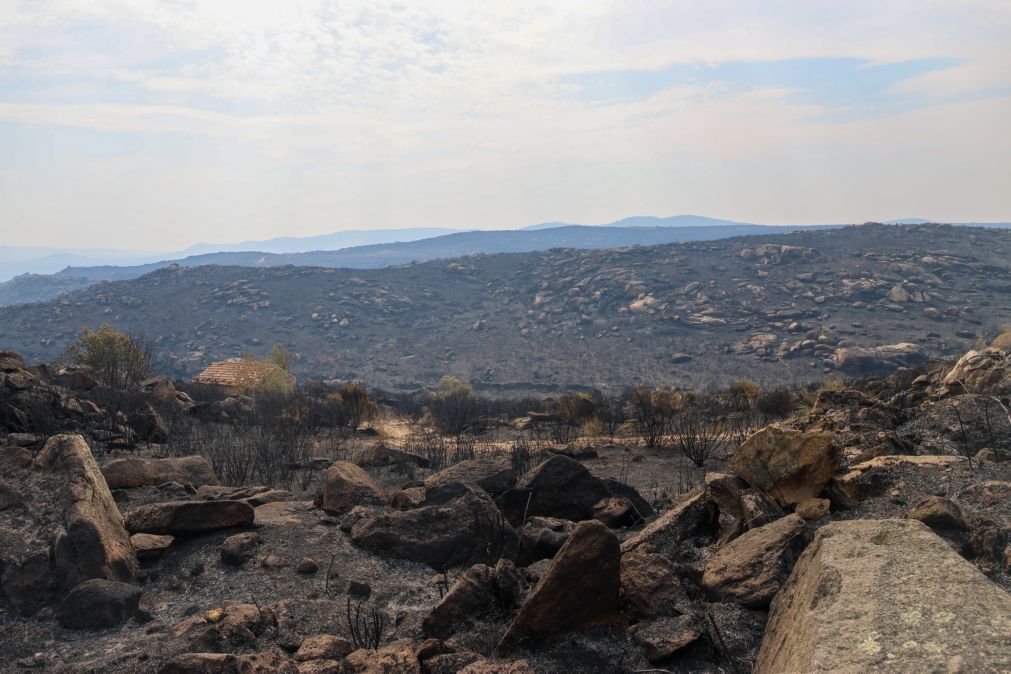Fogo que começou em Mirandela está agora dominado e consumiu 6 mil hectares