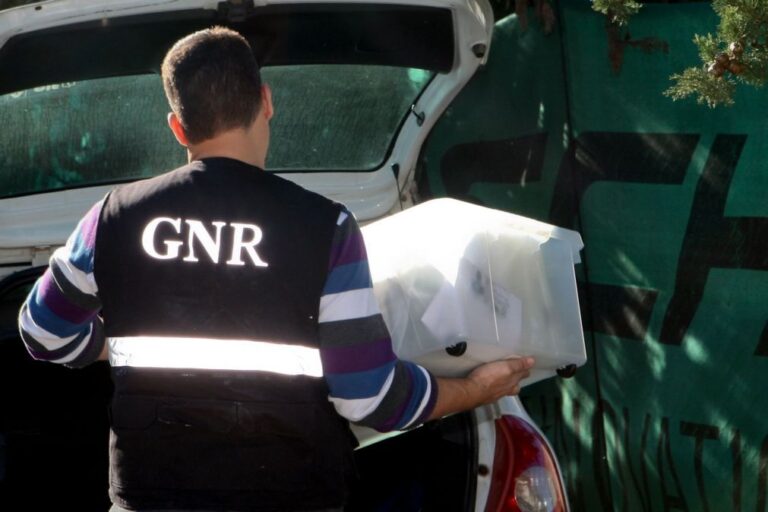 GNR apreende álcool, tabaco e máquinas de jogo em operação nacional