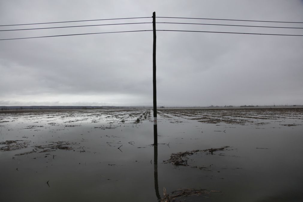 Estradas inundadas na zona da Bacia do Tejo ativam Plano Especial de Emergência para Cheias