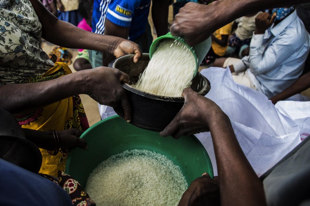 Instituto de Cereais de Moçambique passa a conduzir importações de arroz e trigo