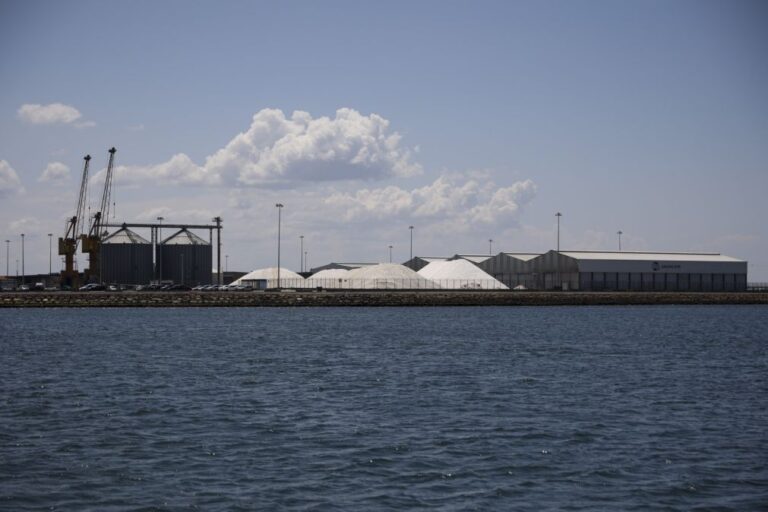 Porto de Aveiro com novo máximo de mercadorias movimentadas