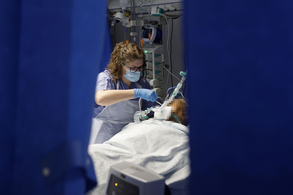 Portugal regista desde o início de dezembro excesso de mortalidade de cerca de 22%