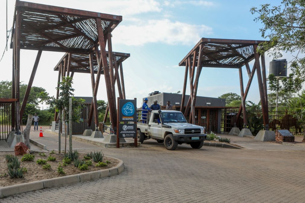 Parque Nacional de Maputo retoma serviços de safari suspensos devido às chuvas