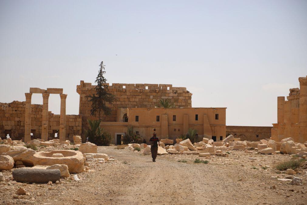 EUA matam na Síria líder da Al-Qaeda ligado a morte de norte-americanos em 2025