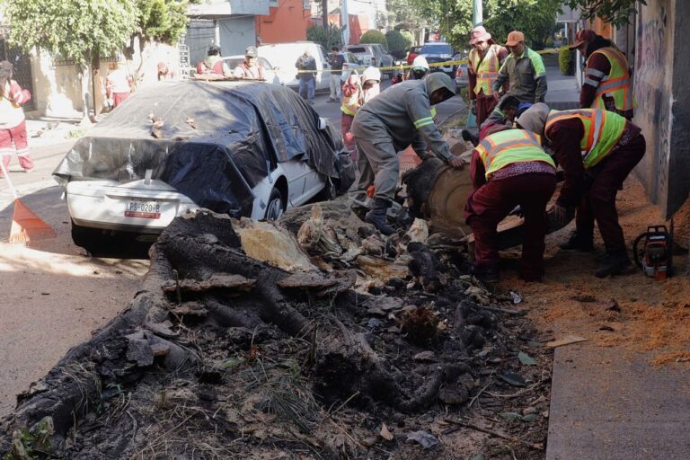 Sismo de magnitude 6,5 registado hoje no México causou pelo menos duas mortes