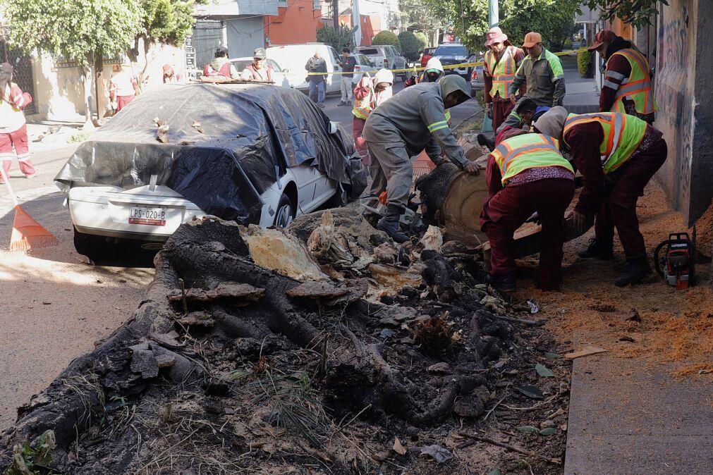Sismo de magnitude 6,5 registado hoje no México causou pelo menos duas mortes