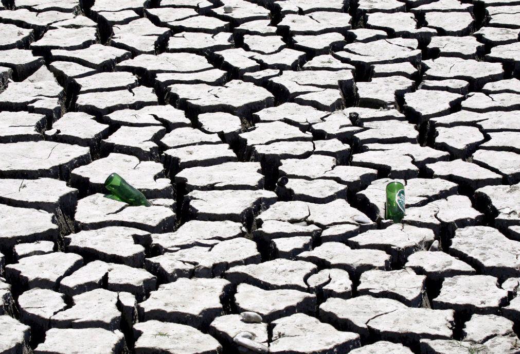 Seca compromete primeira época agrícola em pelo menos seis províncias angolanas