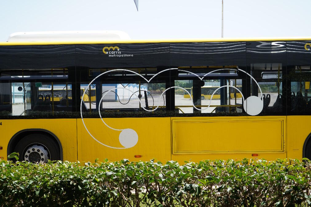 Carris Metropolitana registou em 2025 um recorde de 194 milhões de passageiros