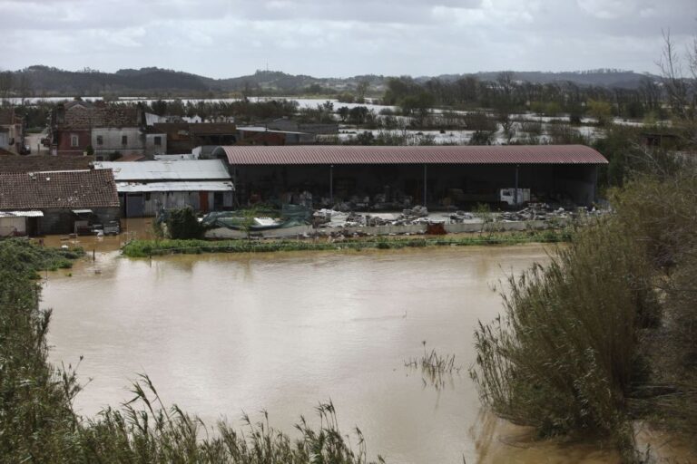 Dique no rio Arunca em Vila Nova de Anços, em Soure, está a ser reforçado