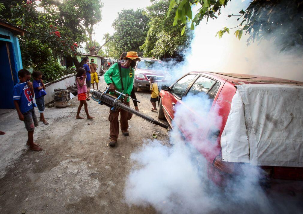 Aumenta para sete o número de mortos devido ao dengue em Timor-Leste