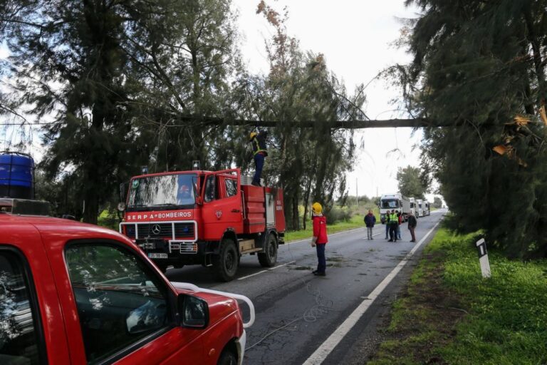 Homem morre em carro submerso em linha de água no concelho de Serpa