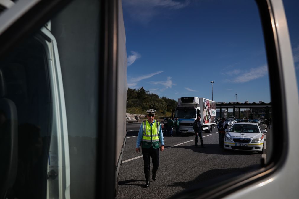Mais de 200 infrações no transporte de mercadorias detetadas em operação nacional da GNR